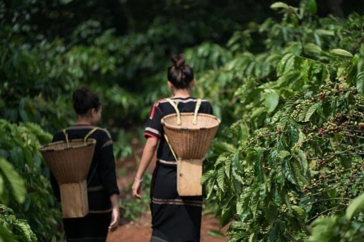 Dugiang Homestay Buon Ma Thuot Eksteriør billede