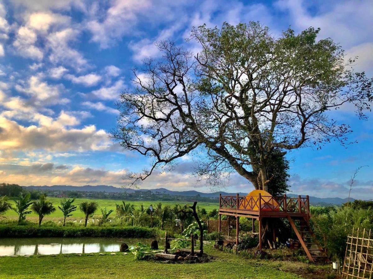 Dugiang Homestay Buon Ma Thuot Eksteriør billede
